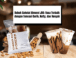 Bubuk Cokelat Almond JBD Rasa Terbaik dengan Sensasi Gurih, Nutty, dan Renyah